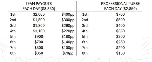 Team and Professional payout table